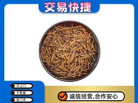 甘南回收散虫草